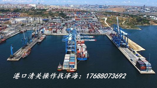 进出口报关代理服务